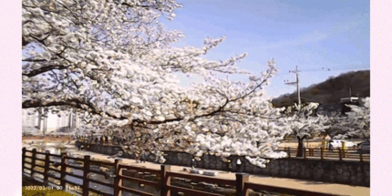 【📹Ditto】Korean Y2K Retro Camcorder 