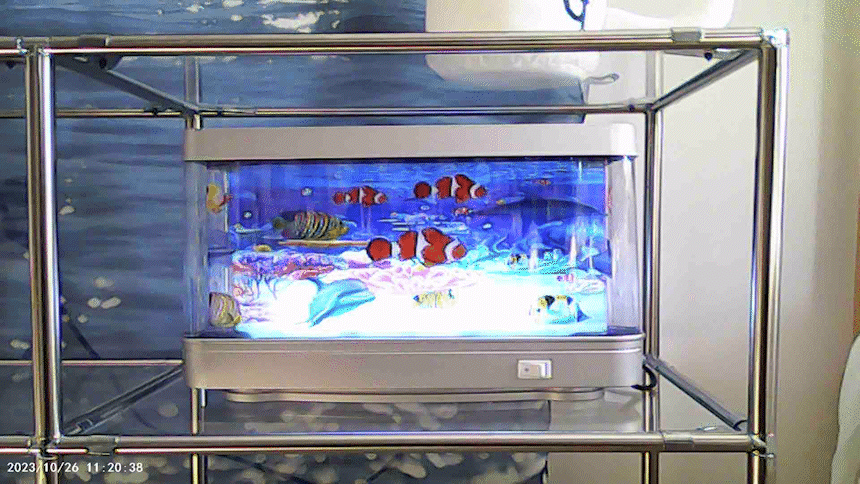 【📹Ditto】Korean Y2K Retro Camcorder 