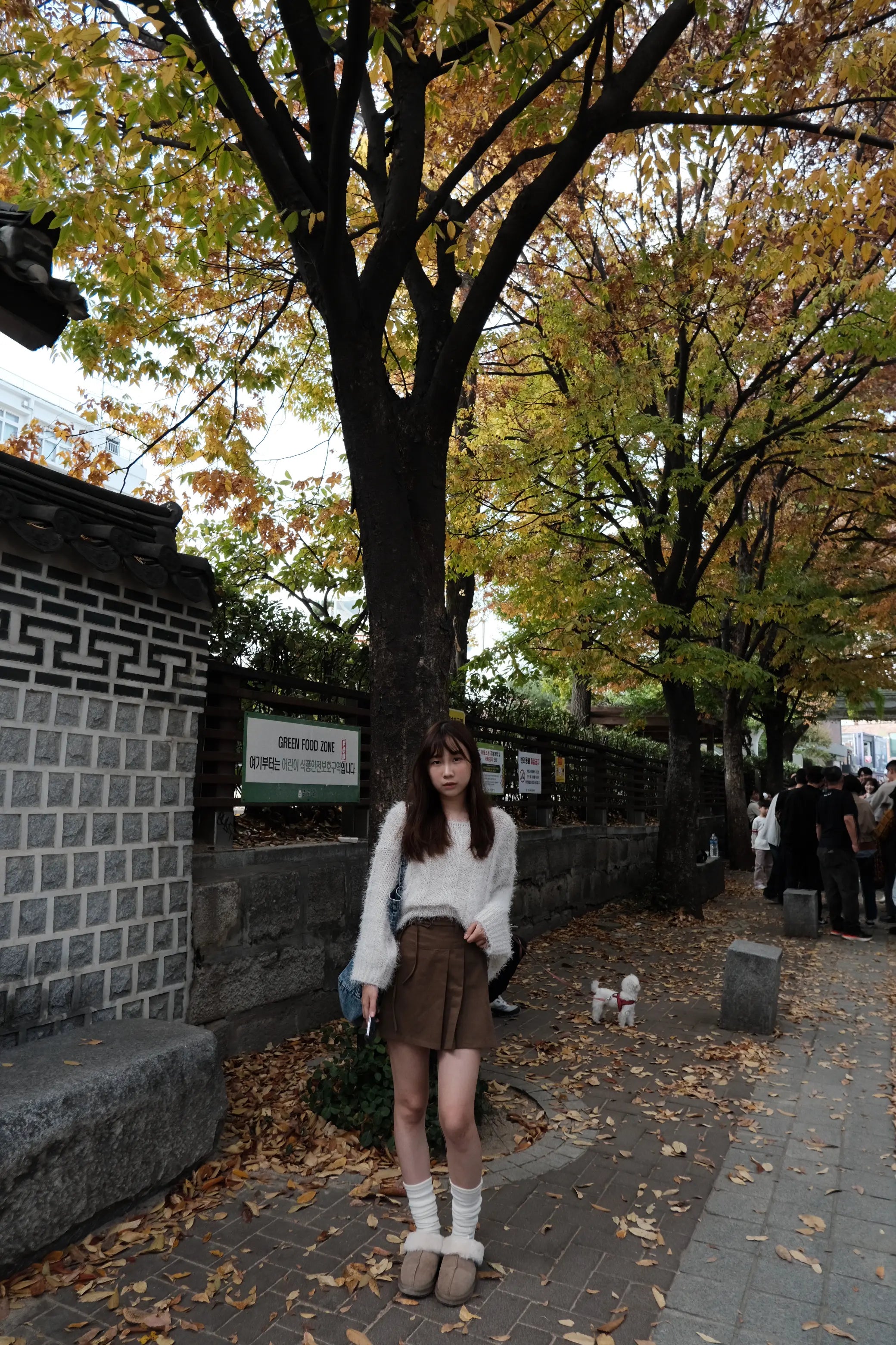 【🍁秋意濃濃】Ribbon Mini Skirt