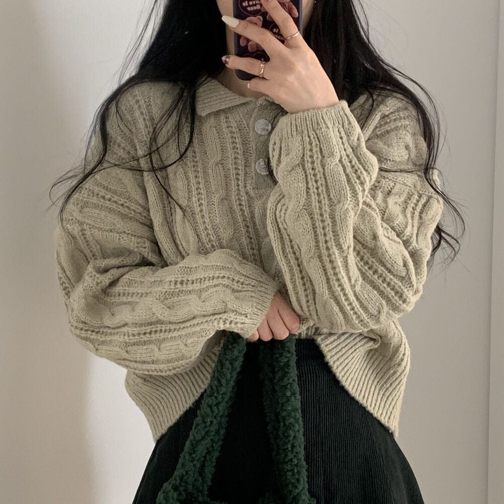 【🍷Christmas &amp; New Year PICK】Double-button collar cable knit top