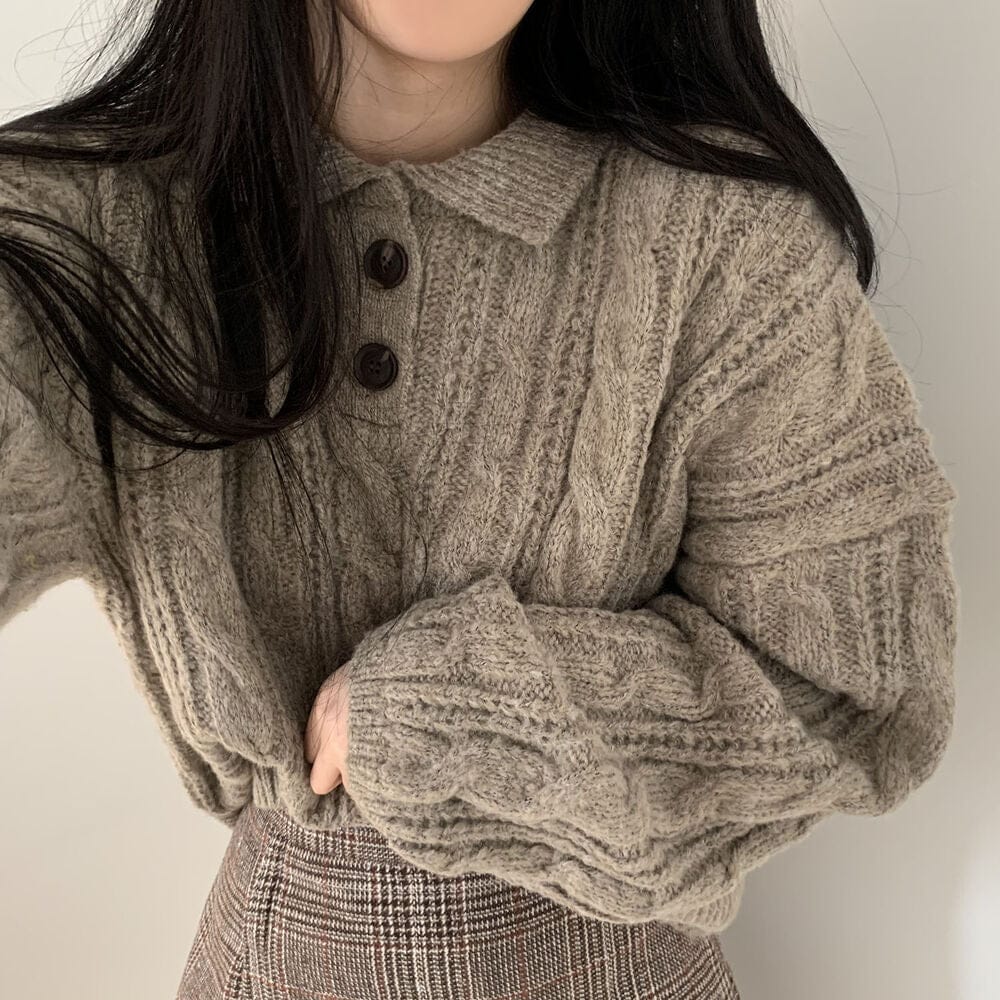 【🍷Christmas &amp; New Year PICK】Double-button collar cable knit top